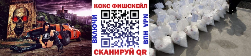 Купить закладки  Ардатов  Cocaine Fish Scale 