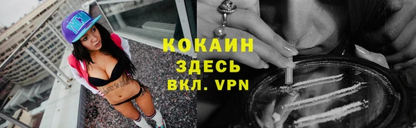 бошки Ладушкин