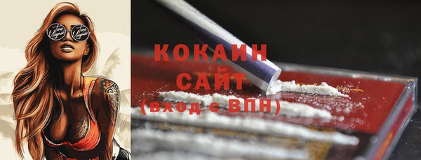 бошки Ладушкин