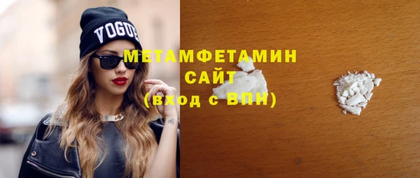 индика Кулебаки
