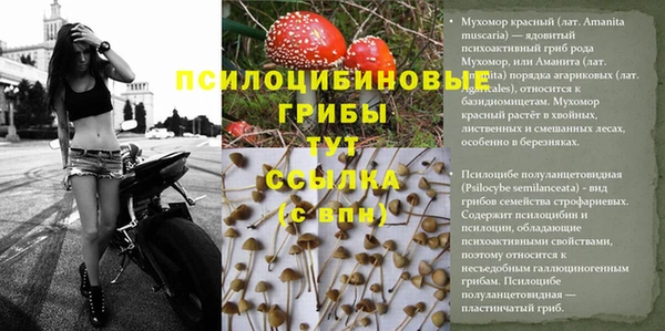 прущие крисы Лабытнанги