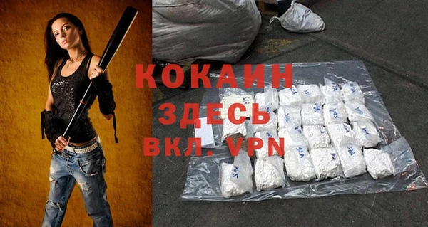 индика Кулебаки