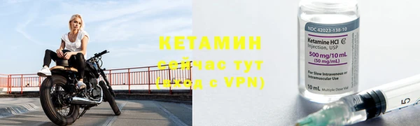 индика Кулебаки