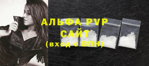 индика Кулебаки