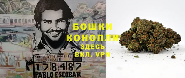 бошки Ладушкин